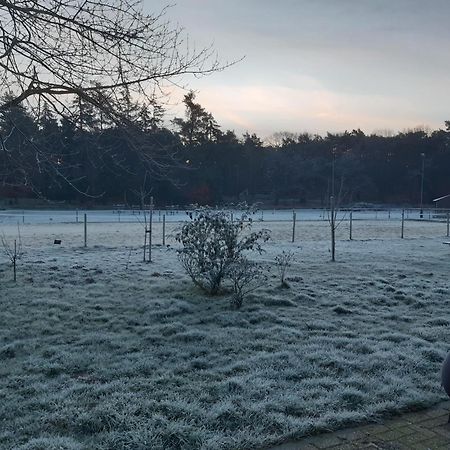 Natuurslaapkamer De Zaadeest Boskamer Lomm Zewnętrze zdjęcie