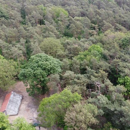 Natuurslaapkamer De Zaadeest Boskamer Lomm Zewnętrze zdjęcie