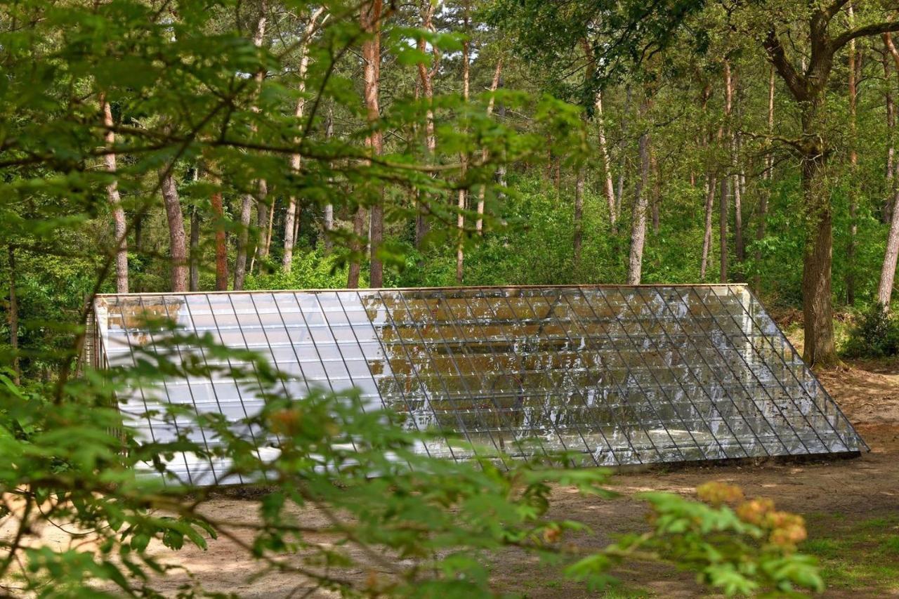 Natuurslaapkamer De Zaadeest Boskamer Lomm Zewnętrze zdjęcie