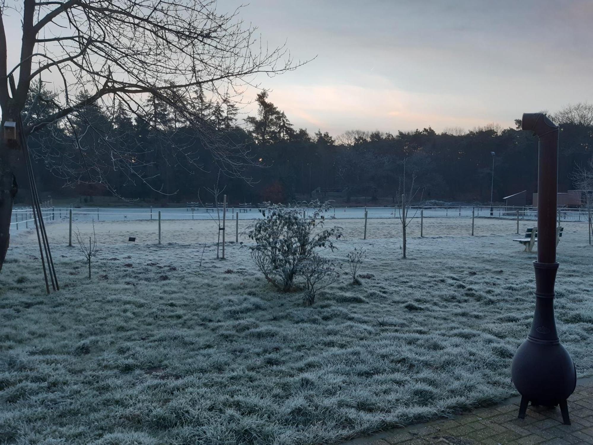 Natuurslaapkamer De Zaadeest Boskamer Lomm Zewnętrze zdjęcie