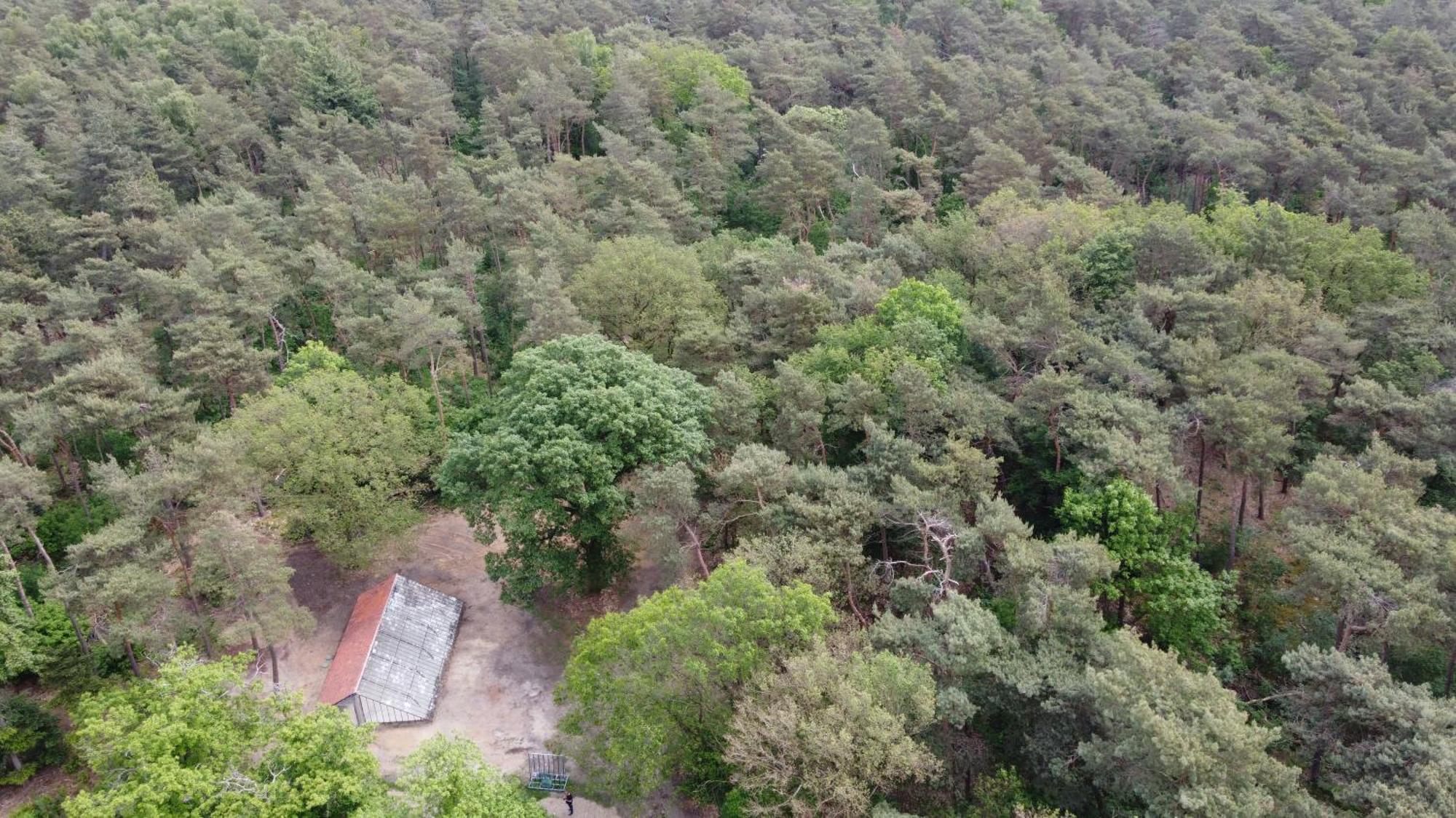 Natuurslaapkamer De Zaadeest Boskamer Lomm Zewnętrze zdjęcie