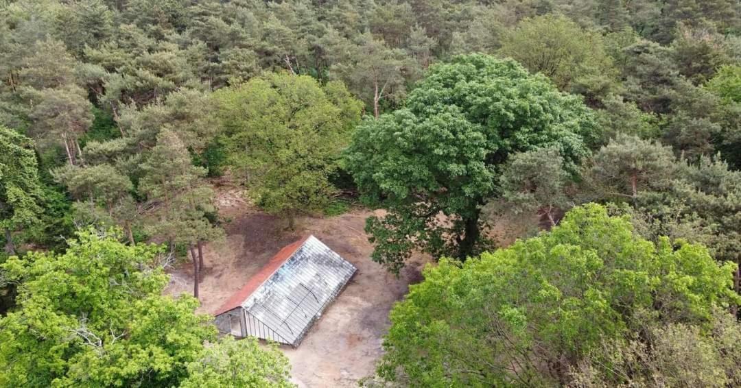 Natuurslaapkamer De Zaadeest Boskamer Lomm Zewnętrze zdjęcie